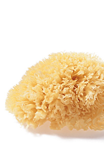 Crabtree & Evelyn Body-Size Natural Sea Sponge
