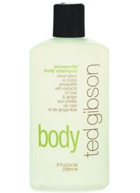 Ted Gibson Prosperity Body Shampoo