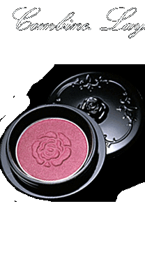 Anna Sui Face Color