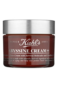 Kiehl's Abyssine Cream +