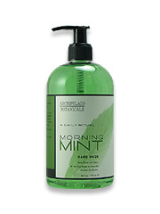 Archipelago Botanicals Morning Mint Hand Wash
