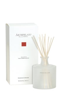 Archipelago Botanicals Jaipur Travel Diffuser Set