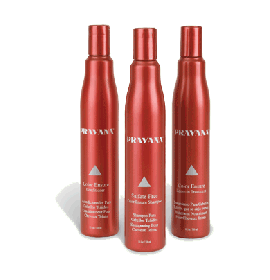 Pravana Color Ensure Leave-In Treatment