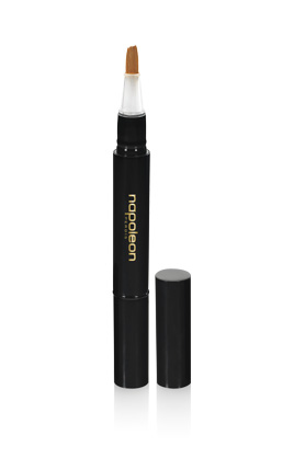 Napoleon Perdis Mighty Concealer Pen