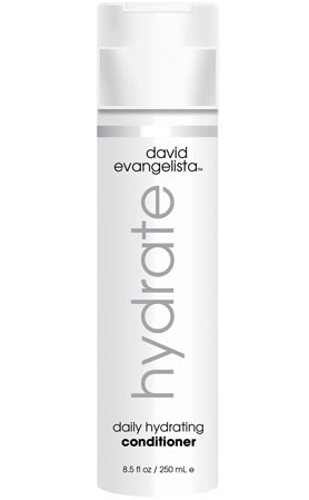 David Evangelista Hydrate Daily Hydrating Conditioner