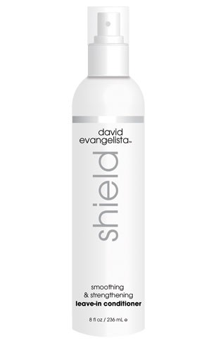 David Evangelista Shield Smoothing & Strengthening Leave-In Conditioner