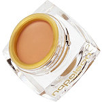 Napoleon Perdis The One Concealer