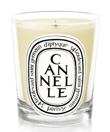 Diptyque Cinnamon Candle
