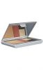 Aveda Total Face Envirometal Compact