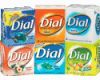 Dial Bar Soap