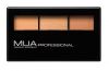 MUA Pro Bronzing Palette