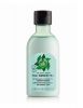 The Body Shop Fuji Green Tea Refreshingly Hydrating Conditioner