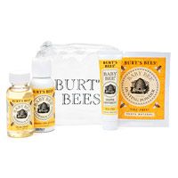Burt's Bees Baby Bee Baby To Go Kit