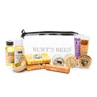 Burt's Bees Head to Toe Starter Kit