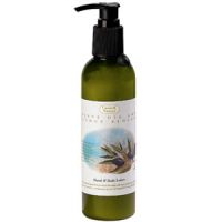 Caswell-Massey Olive Oil & Orange Blossom Hand & Body Lotion