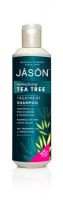 Jason Tea Tree Scalp Normalizing Shampoo