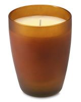 Williams-Sonoma Pure & Green Boxed Candle