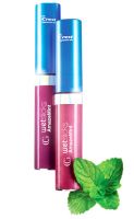 CoverGirl Wetslicks Amazemint Lipgloss