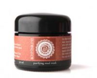 Annmarie Gianni Purifying Mud Mask