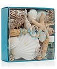 Crabtree & Evelyn La Source Shell Potpourri