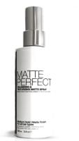 HairArt Matte Perfect Spray