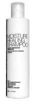 HairArt Moisture Healing Shampoo - 5 in 1