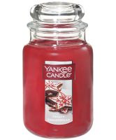 Yankee Candle Frosty Gingerbread Large Classic Jar Candle