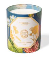Carriere Freres Waterlily Candle Nymphaea